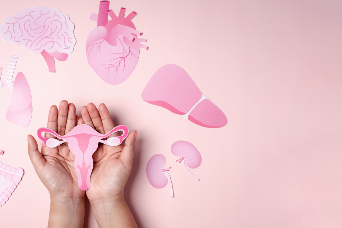 Guía práctica para mantener tu salud femenina a los 30, 40 y 50 años