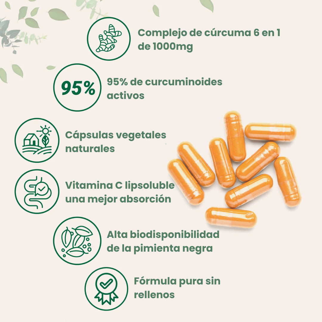 Cúrcuma 95% Pureza