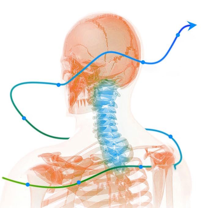 ZenSleep® - Collar Ergonómico Anti-ronquido