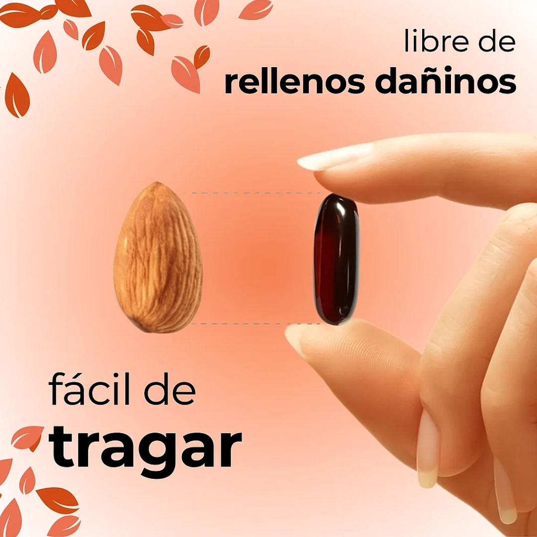 Semilla de Calabaza Orgánica – Antioxidantes, Magnesio y Bienestar Natural