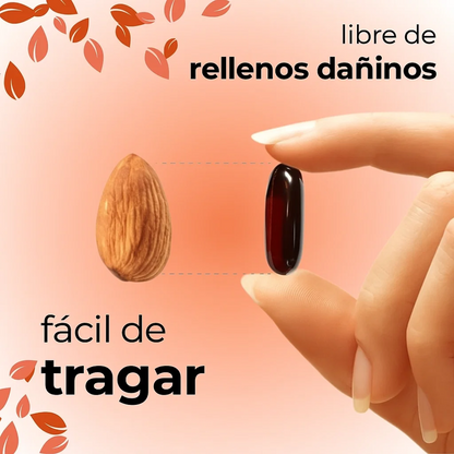 Semilla de Calabaza Orgánica – Antioxidantes, Magnesio y Bienestar Natural