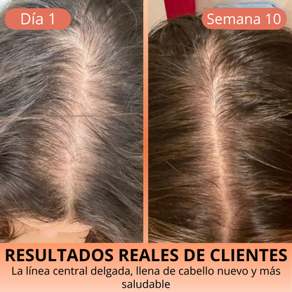 Semilla de Calabaza Orgánica – Antioxidantes, Magnesio y Bienestar Natural