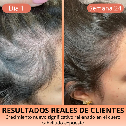 Semilla de Calabaza Orgánica – Antioxidantes, Magnesio y Bienestar Natural