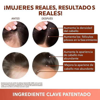 Semilla de Calabaza Orgánica – Antioxidantes, Magnesio y Bienestar Natural
