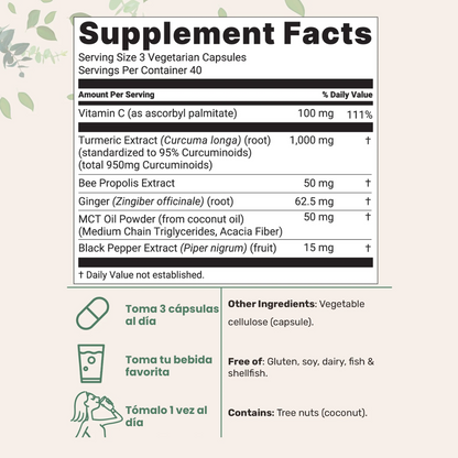 Cúrcuma Premium 95% Pureza – Apoyo Antiinflamatorio y Antioxidante